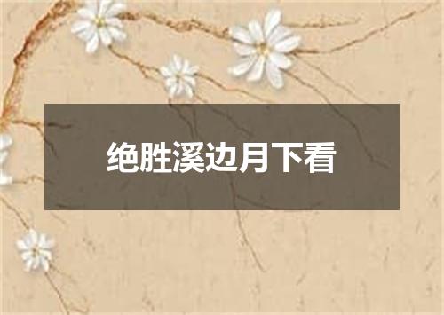绝胜溪边月下看