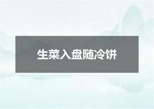生菜入盘随冷饼