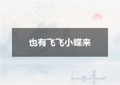 也有飞飞小蝶来