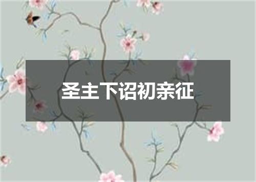 圣主下诏初亲征