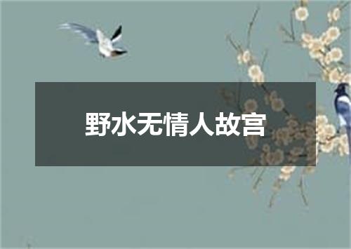野水无情人故宫