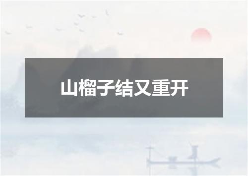 山榴子结又重开
