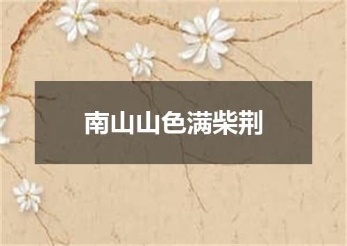 南山山色满柴荆