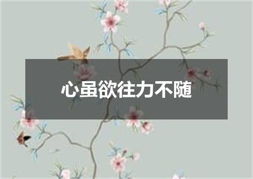 心虽欲往力不随