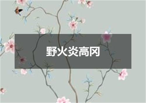野火炎高冈