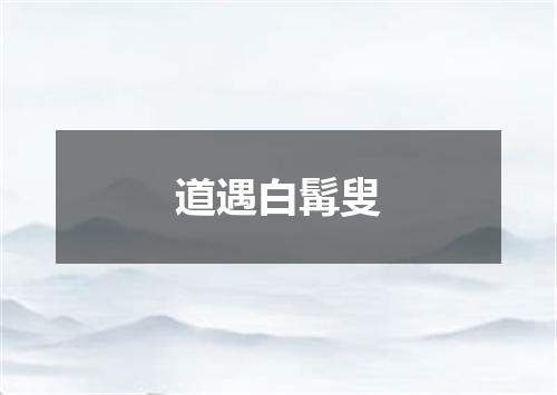 道遇白髯叟