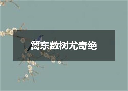 篱东数树尤奇绝