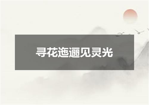 寻花迤逦见灵光