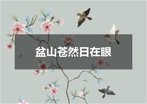 盆山苍然日在眼