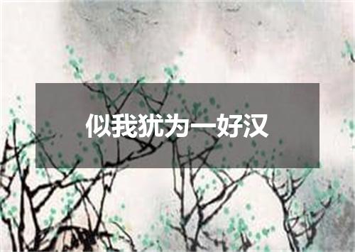 似我犹为一好汉