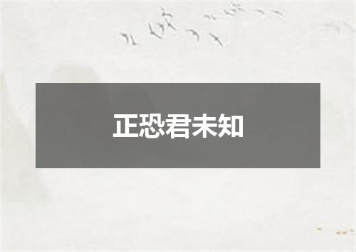 正恐君未知