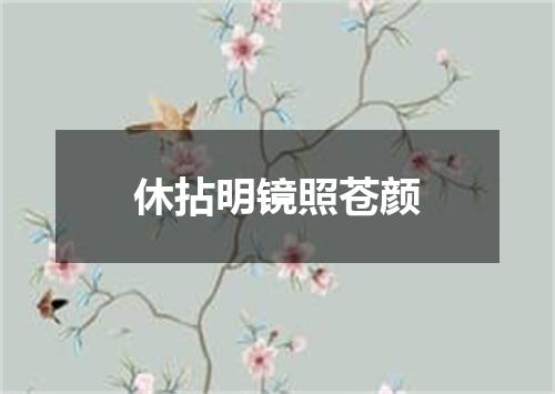 休拈明镜照苍颜