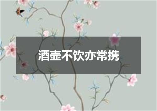 酒壶不饮亦常携