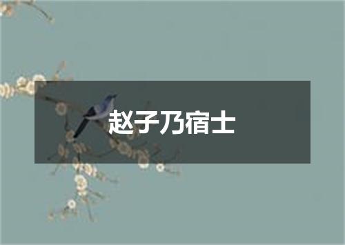 赵子乃宿士