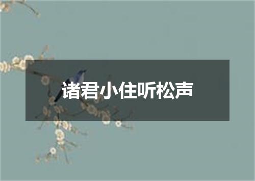 诸君小住听松声