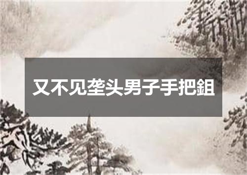 又不见垄头男子手把鉏