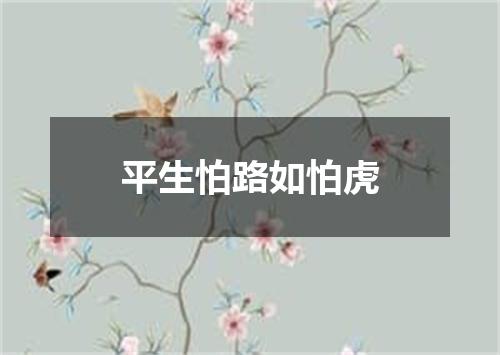 平生怕路如怕虎