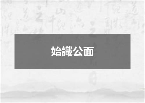 始識公面