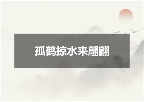 孤鹤掠水来翩翩
