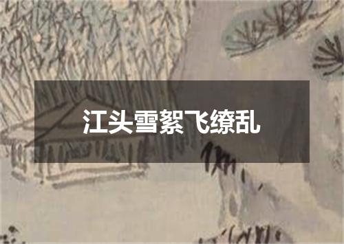 江头雪絮飞缭乱