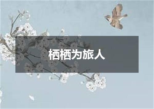 栖栖为旅人