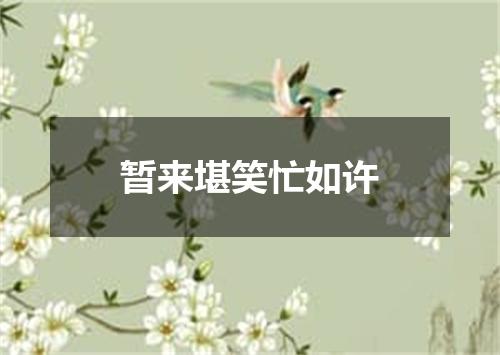 暂来堪笑忙如许