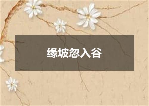 缘坡忽入谷