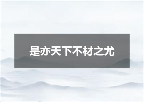 是亦天下不材之尤
