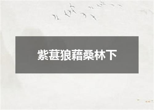 紫葚狼藉桑林下