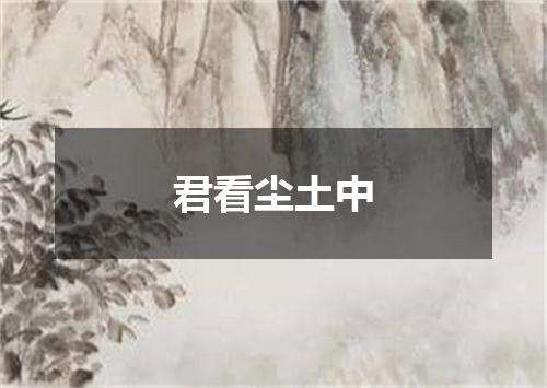 君看尘土中