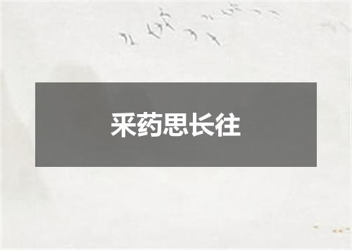 釆药思长往