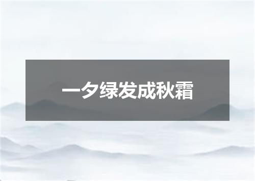 一夕绿发成秋霜