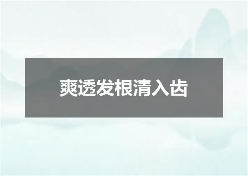 爽透发根清入齿
