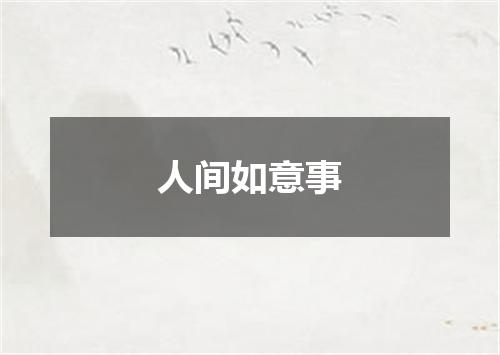 人间如意事