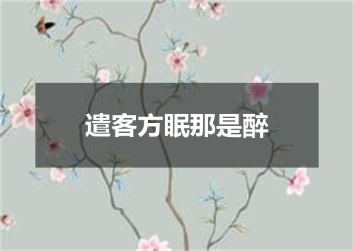遣客方眠那是醉