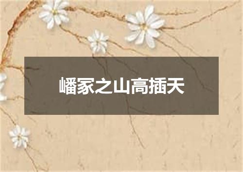 嶓冢之山高插天