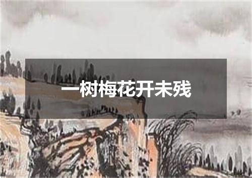 一树梅花开未残