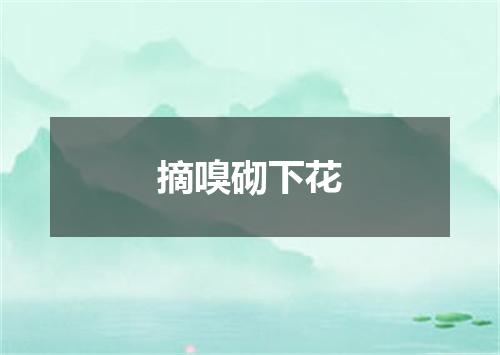 摘嗅砌下花