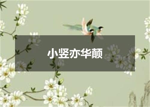 小竖亦华颠