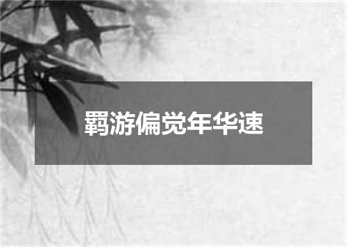 羁游偏觉年华速