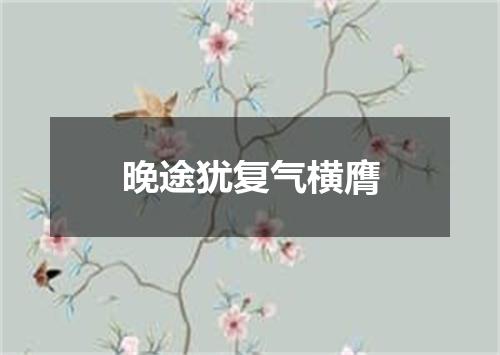 晚途犹复气横膺