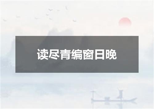 读尽青编窗日晚