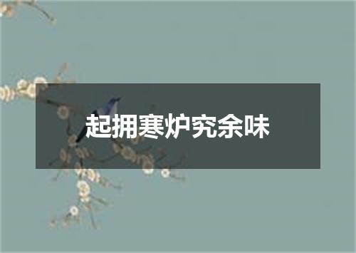 起拥寒炉究余味