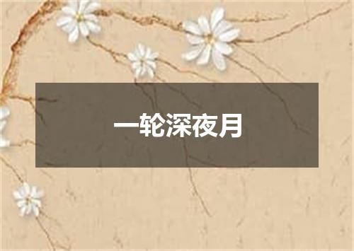 一轮深夜月
