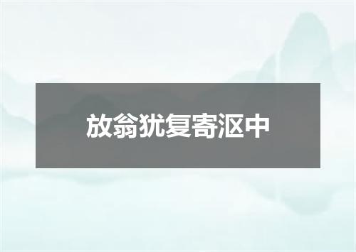 放翁犹复寄沤中