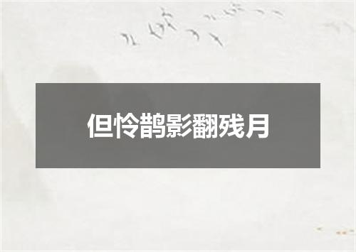 但怜鹊影翻残月