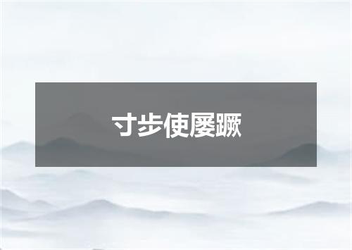 寸步使屡蹶