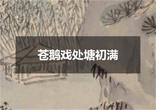 苍鹅戏处塘初满