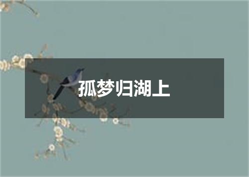 孤梦归湖上