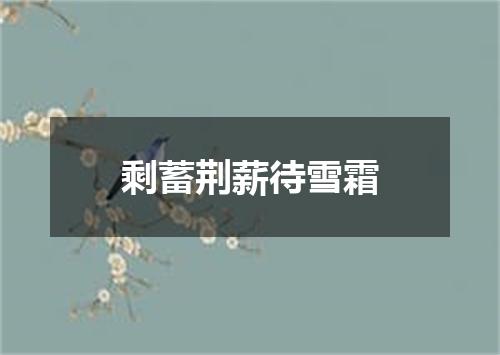 剩蓄荆薪待雪霜